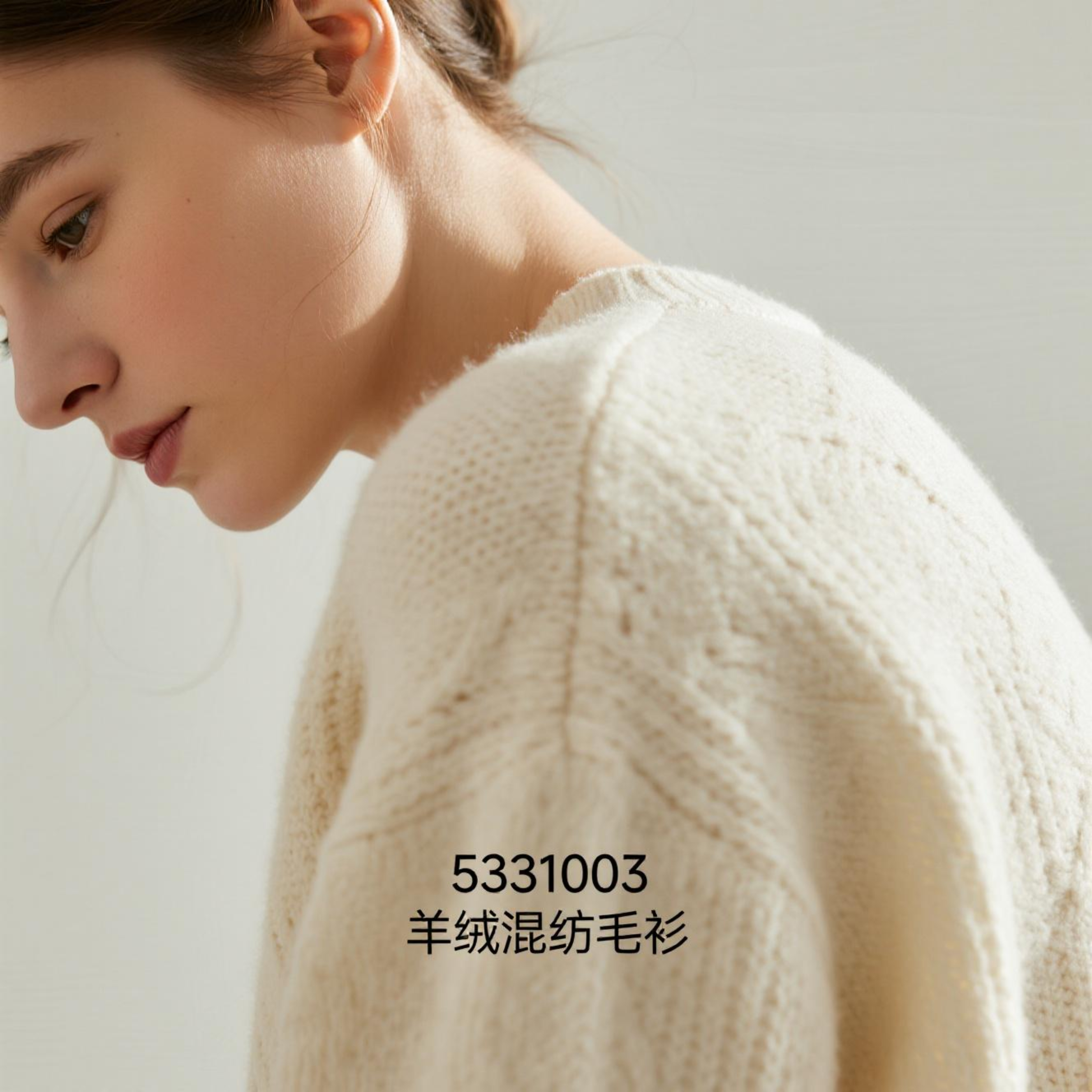 5331003